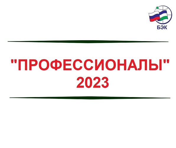 "ПРОФЕССИОНАЛЫ"-2023
